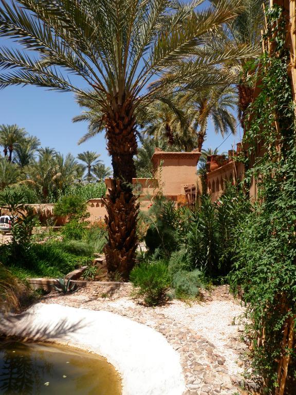 Ecolodge Bab El Oued Maroc Oasis Агд Экстерьер фото